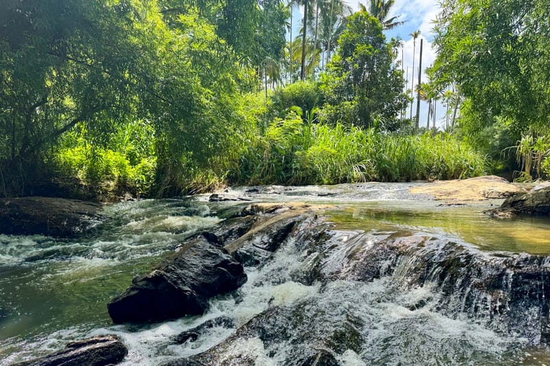 The River Mist – photo 35
