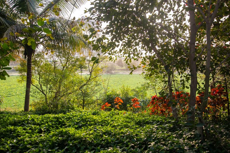 Earth Song - Tulapur – photo 42