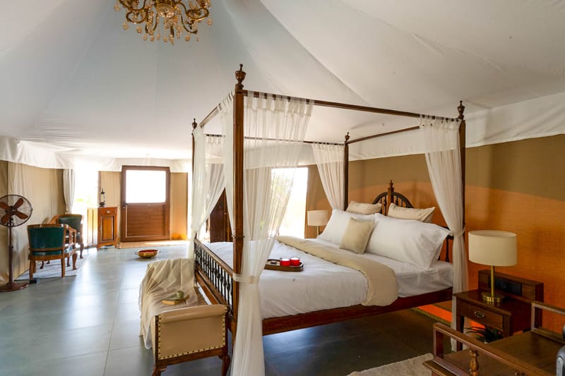 Masava - Luxury Tents – photo 8