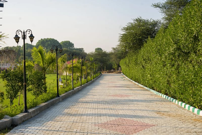Zenora | Pet-friendly 5-BHK Farmhouse With Pvt Pool, Garden & Terrace  – photo 9
