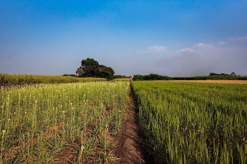 Happy Fields - Pune – photo 8