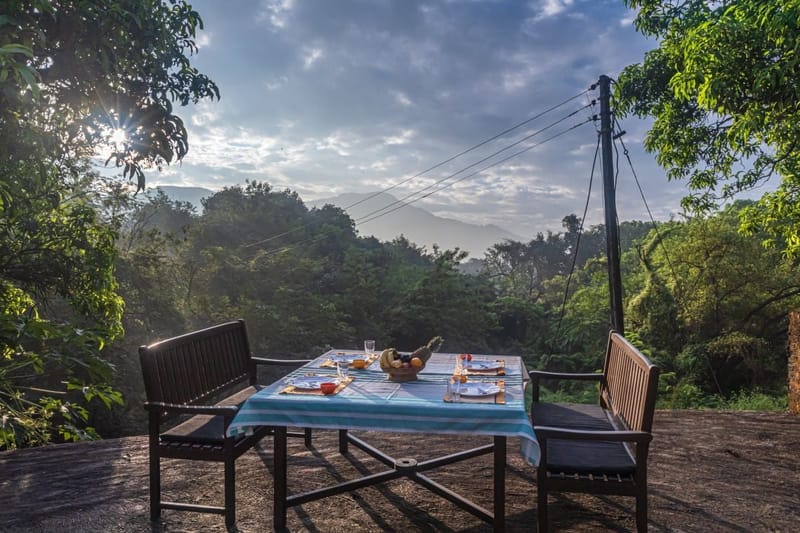 Ambe Moha – photo 2