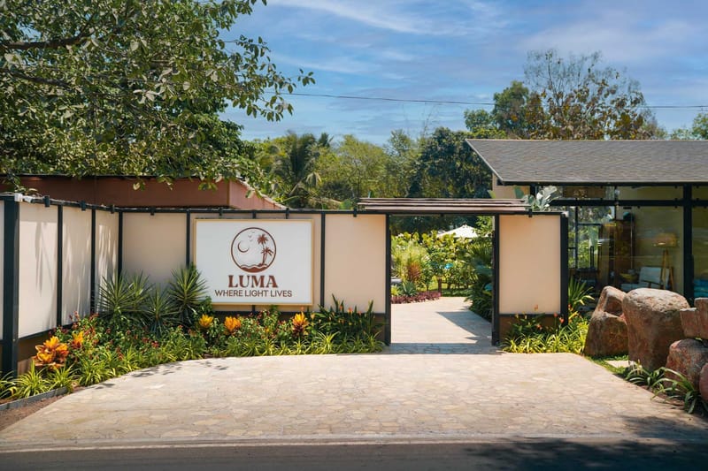 Aurora Treehouse @ Luma - 350 mtr from Mandwa Jetty – photo 16