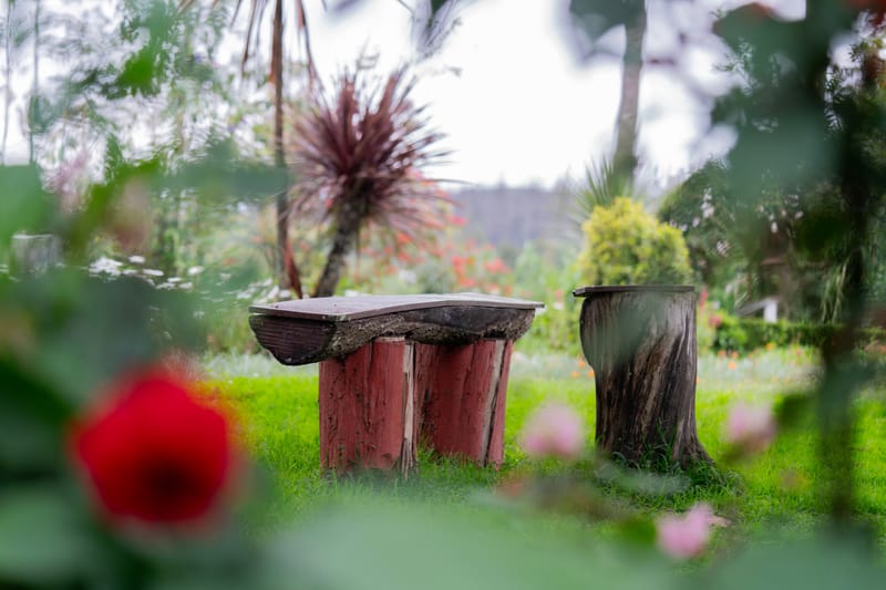 Milton Abbott Estate (Heritage Room) - Ooty, Tamil Nadu – photo 18