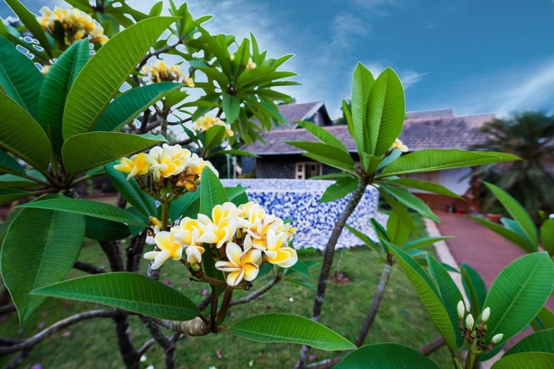 Retreat on Cloud 9 Homestay – photo 26