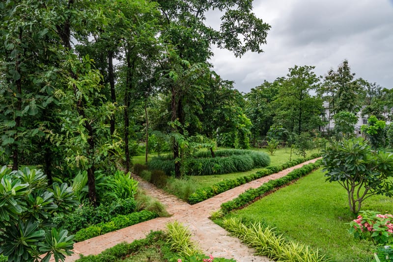 Aranyaani  – photo 27