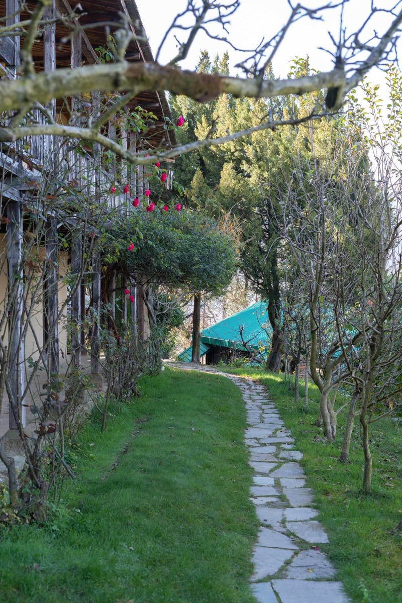 Seetalvan Orchards – photo 29