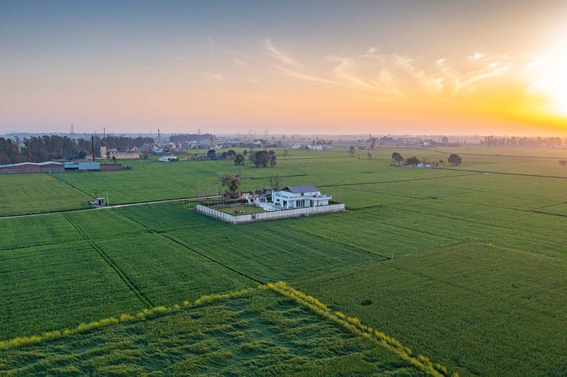 Colour Bloom - Karnal – photo 3