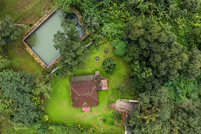 The Fig Tree Villa – photo 25