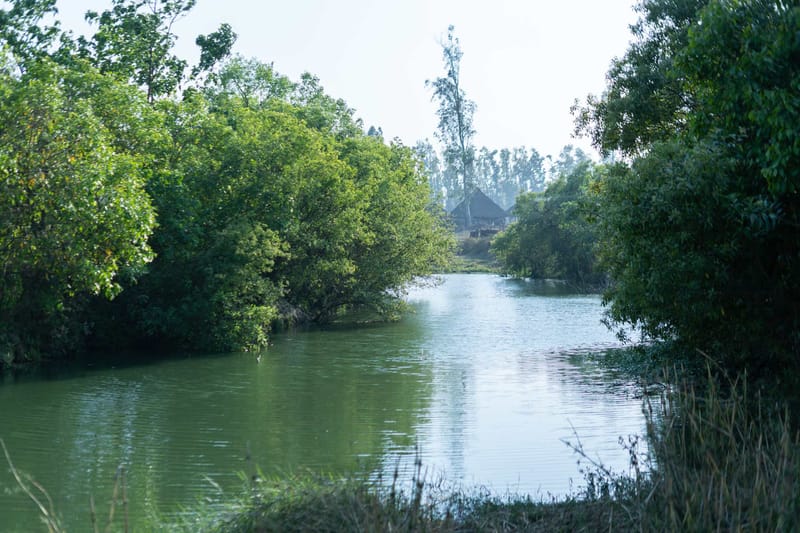 Mud & Mirage – photo 39