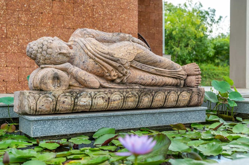 Zen Grove – photo 15
