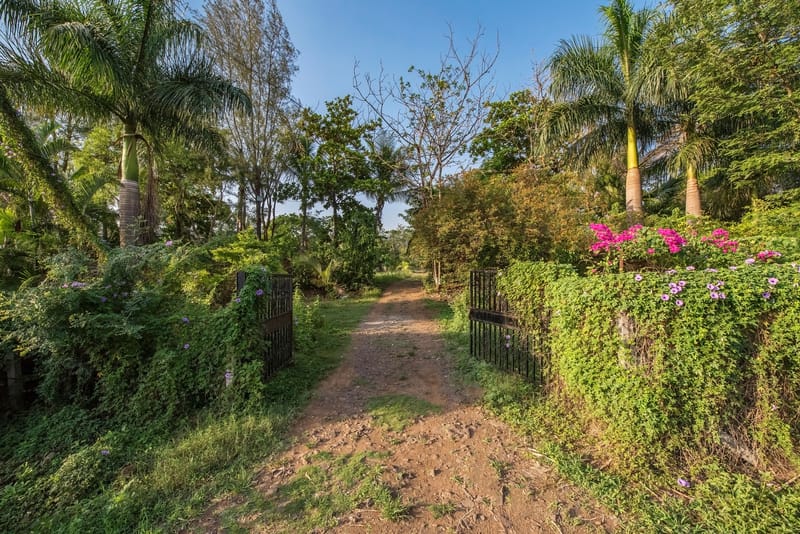 Lakeview Nivara - Panshet, Pune – photo 34