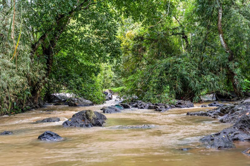 The River Mist – photo 26