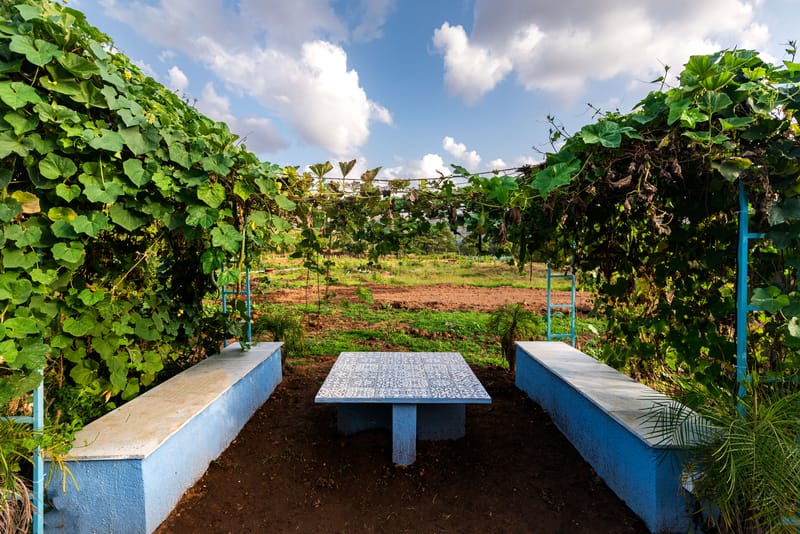 Vyom Farms - Karjat, Maharashtra – photo 24