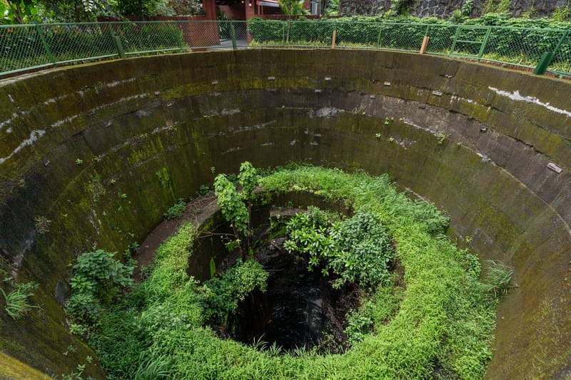 Laterite Grove  – photo 8