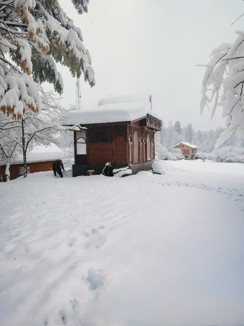 Cheese Cottage – photo 20