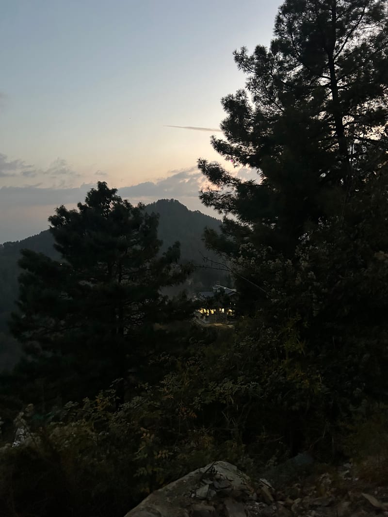 Alpine Blue  – photo 65