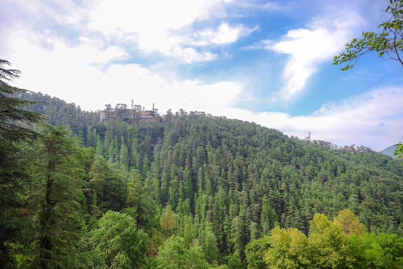 2 Rooms @ Shimla Manor – photo 7