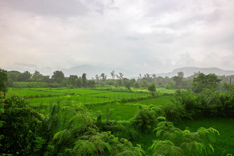Aaraa Vilas – photo 36
