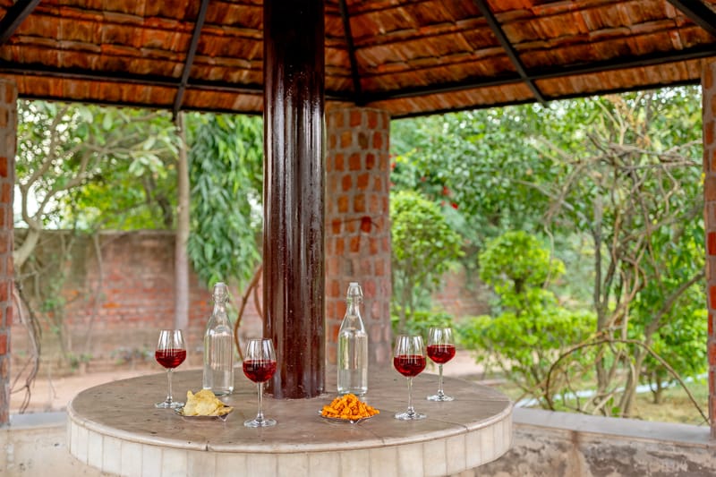 Parinita farm  | 4-BHK Villa with Private Pool, Garden Area & Gazebo – photo 28