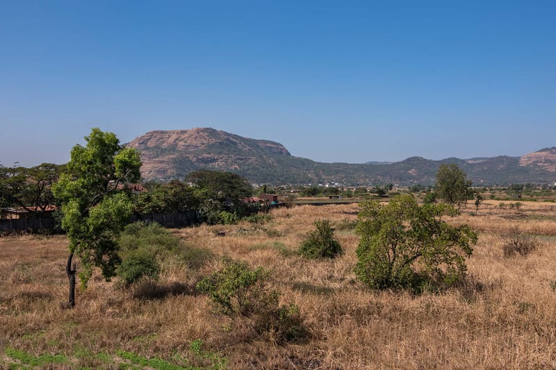 Hillside Cove – photo 33