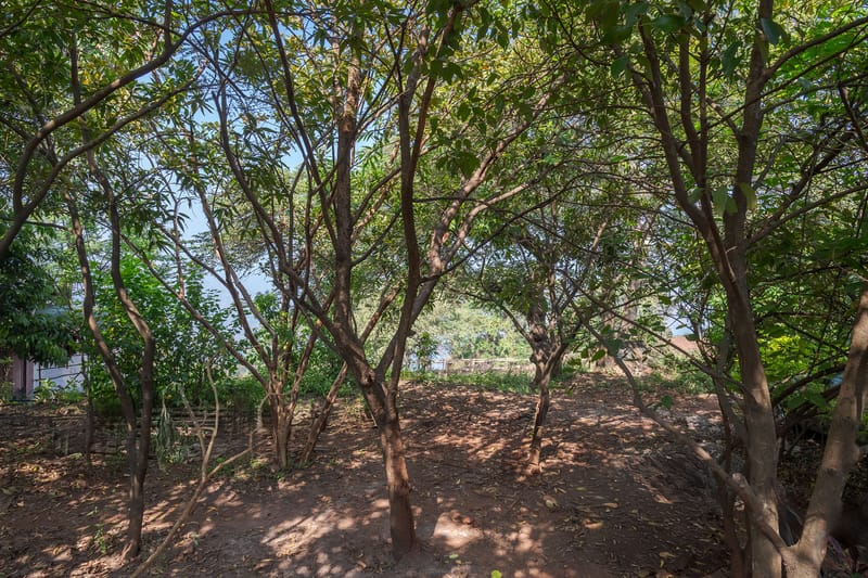 Hill Crest – photo 15