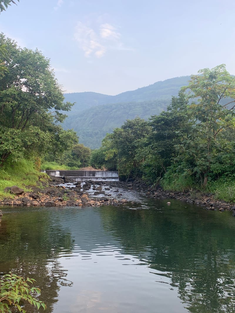 SanvinaFarm - Karjat – photo 58