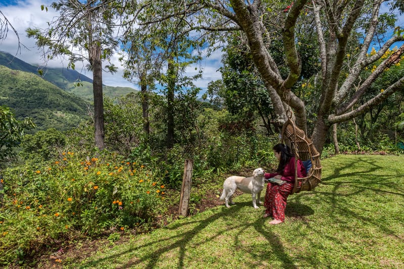 Nandanvan Estate - Coffee Estate Near Kodaikanal, Tamil Nadu – photo 6
