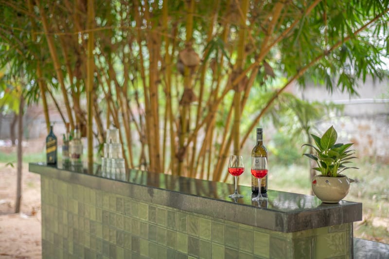 Bamboo Bagh – photo 23