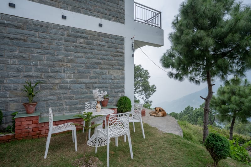Saanjh – photo 38