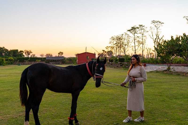 Krishna Serenity Villa | Pet-friendly 7-BHK Farmhouse with Private Pool, Gazebo and Garden, & Rajasthani Dhani – photo 51