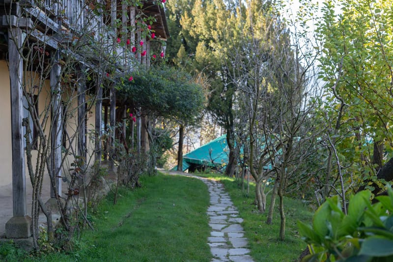 Seetalvan Orchards – photo 35