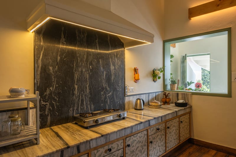 Fiddle Leaf Home – photo 20