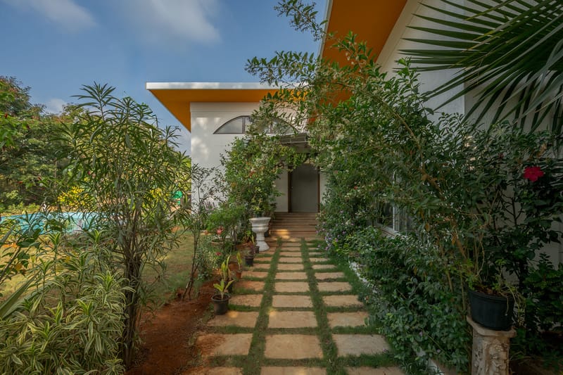 Roselle - Lonavala, Maharashtra – photo 21