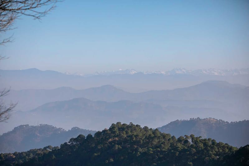 Padam Hill – photo 18