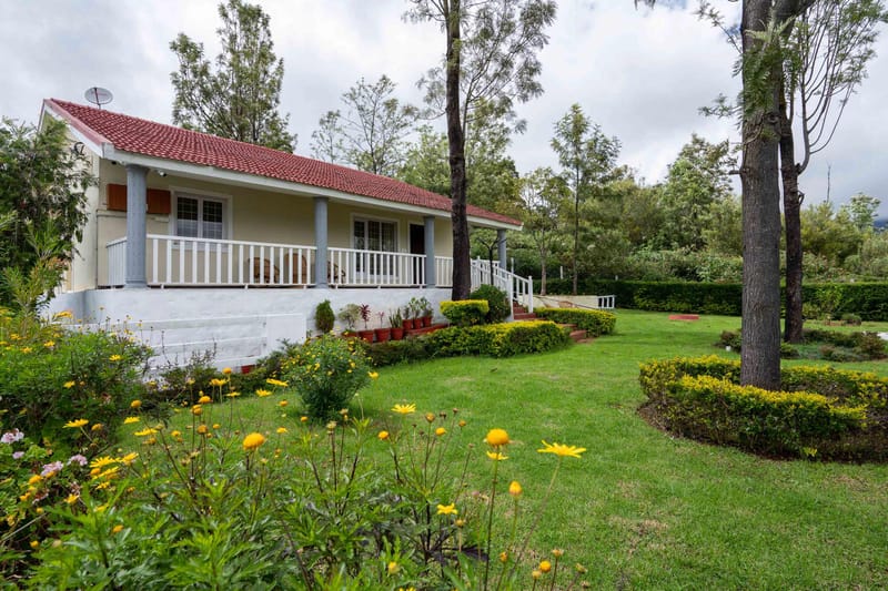 Casa Pinnacle – photo 23