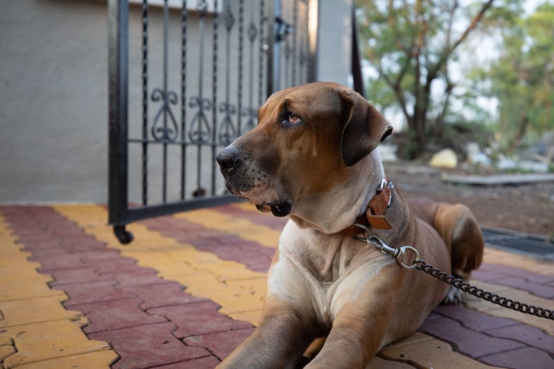 Carpe Diem - Lonavala, Maharashtra – photo 32