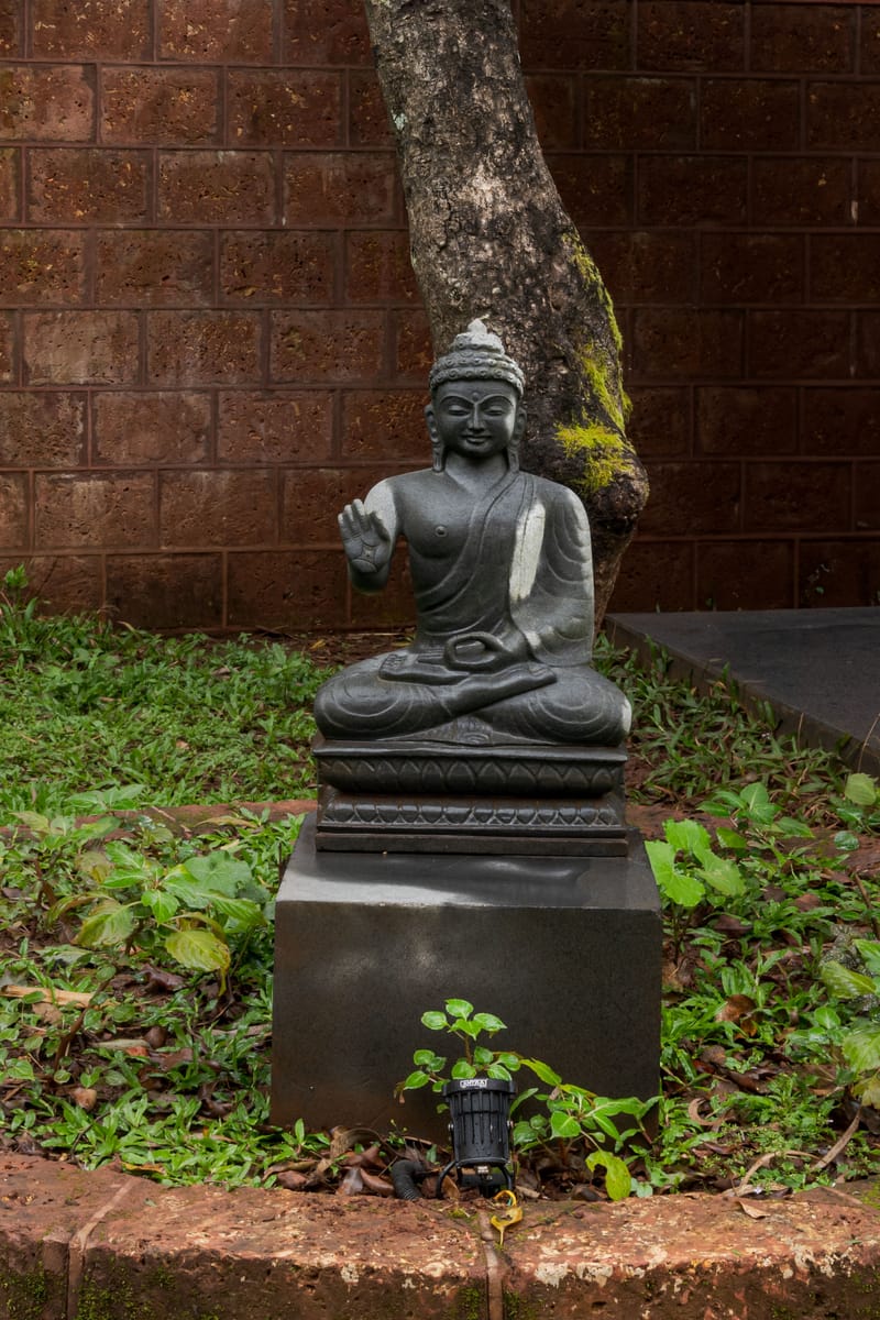 The Glass Grove – photo 15