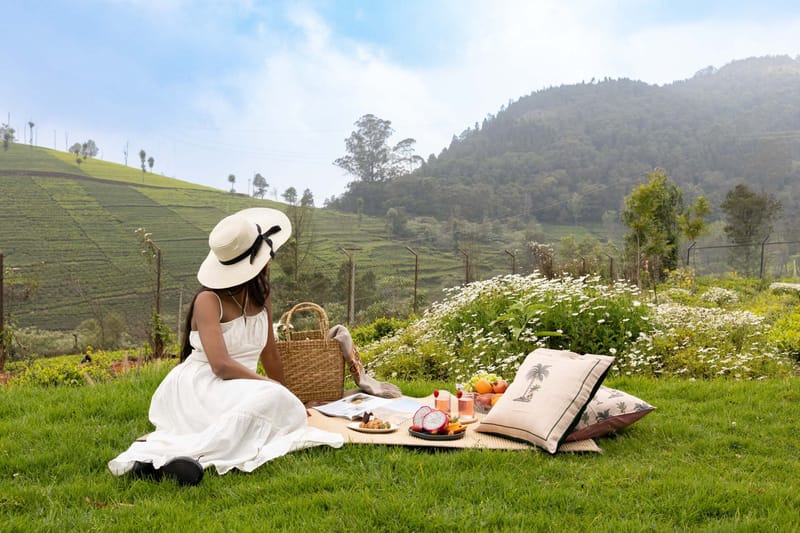 The Hydrangeas - Coonoor – photo 2
