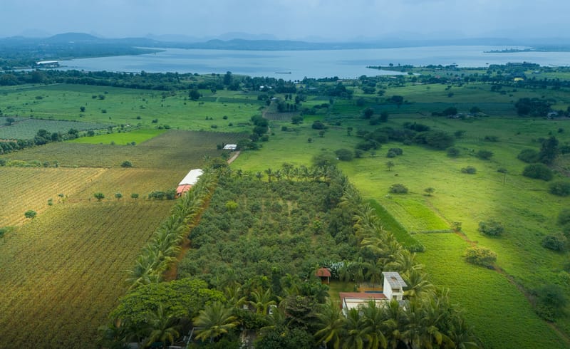 Mango Vino - Nashik, Igatpuri, Maharashtra – photo 7