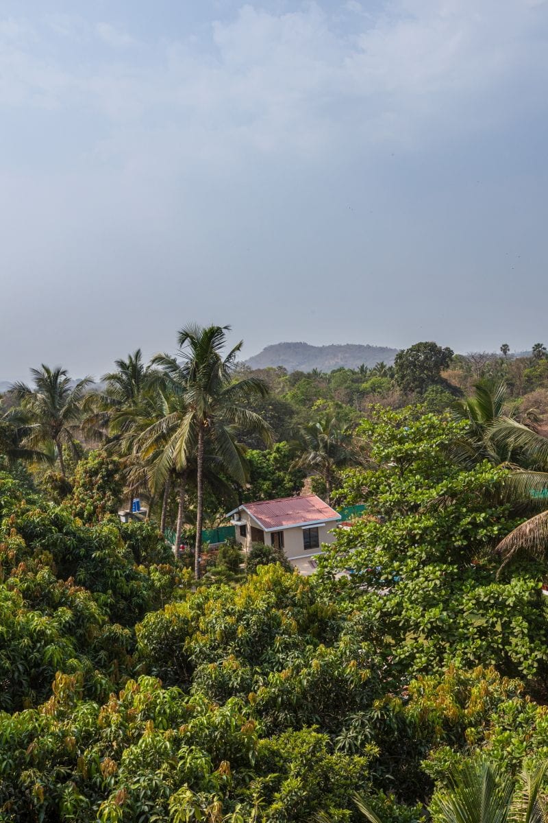 Serene Retreat (Cottages) - Alibaug, Maharashtra – photo 34