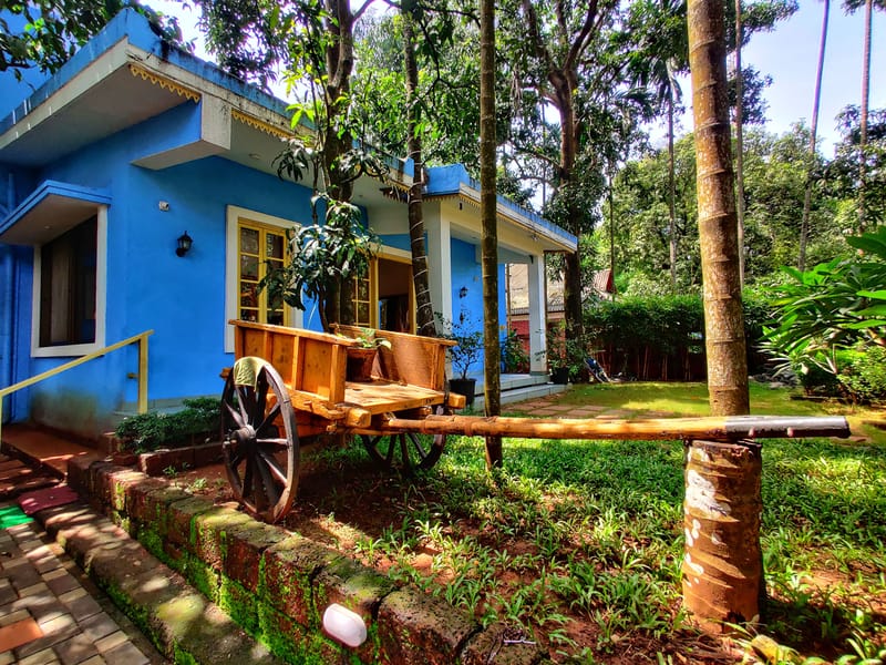 Beach Blues - Alibaug, Maharashtra – photo 12