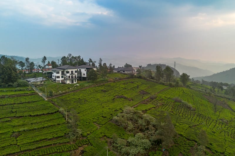 The Hydrangeas - Coonoor – photo 45