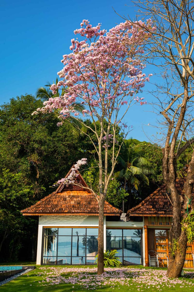 Cheppanam House – photo 19