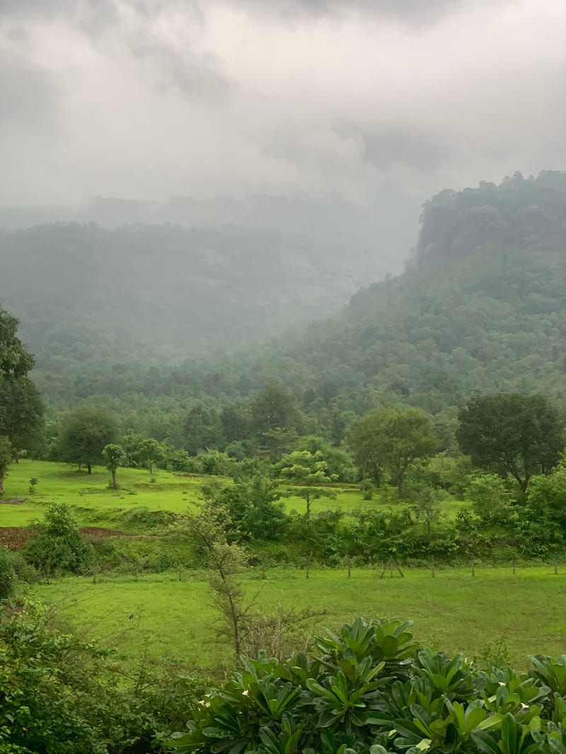 SanvinaFarm - Karjat – photo 54