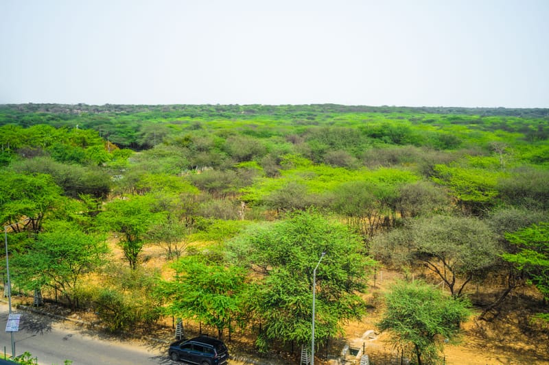 Eternal Oasis Aravali View Suite | Serene 1-Room Retreat With Restaurant, Balcony & Banquet Hall – photo 27