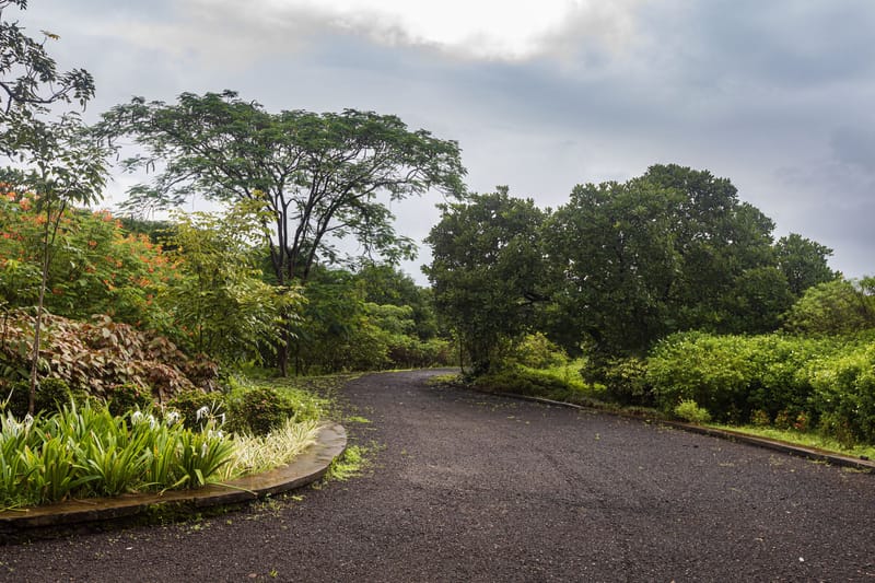 Ananya - Karjat, Maharashtra – photo 30