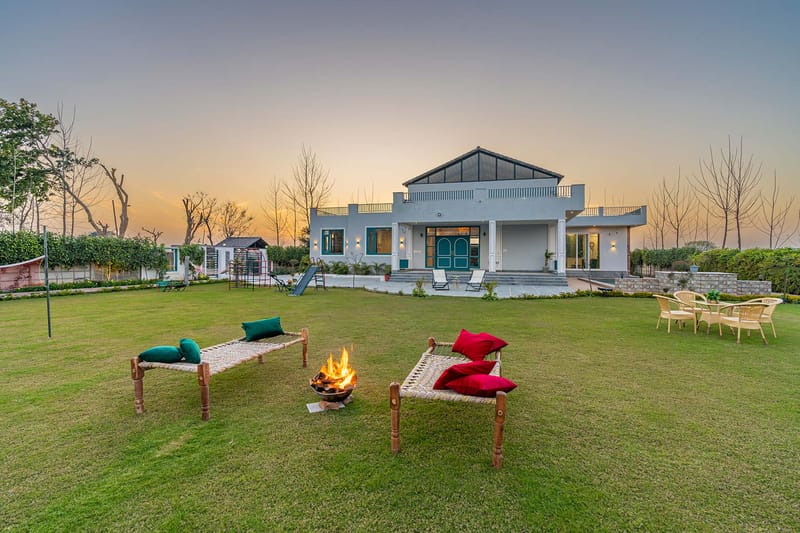 Colour Bloom - Karnal – photo 1