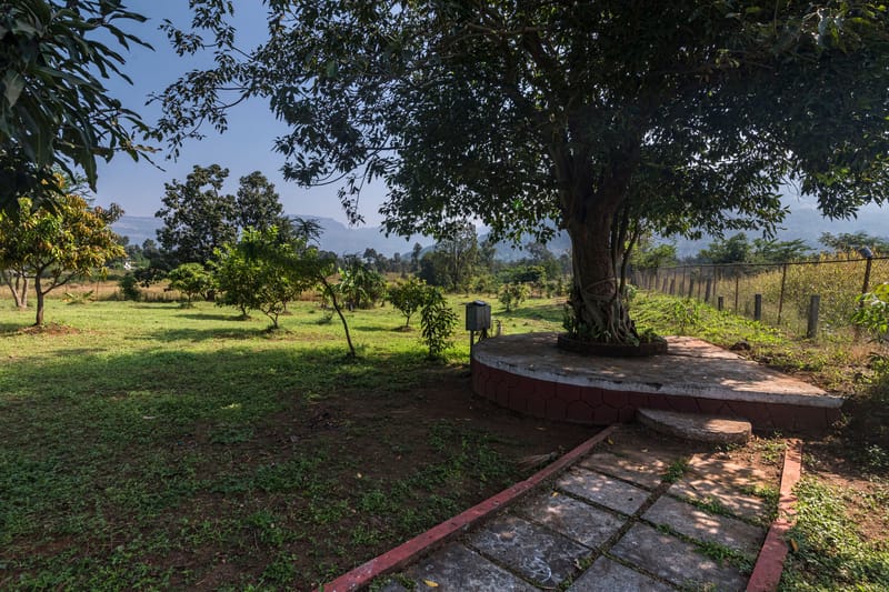 Olive Greens - Karjat – photo 35