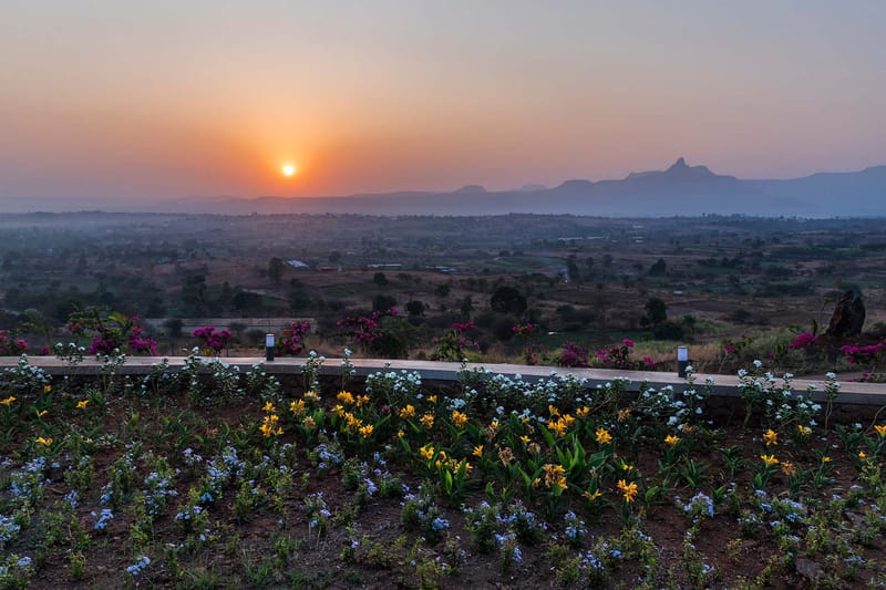 Flora @ Sunset On The Lake - Igatpuri – photo 29